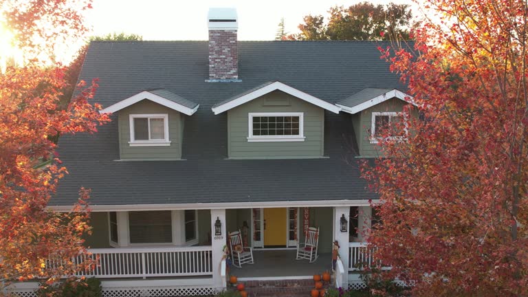 Best Roof Ventilation Installation  in Dardenne Prairie, MO